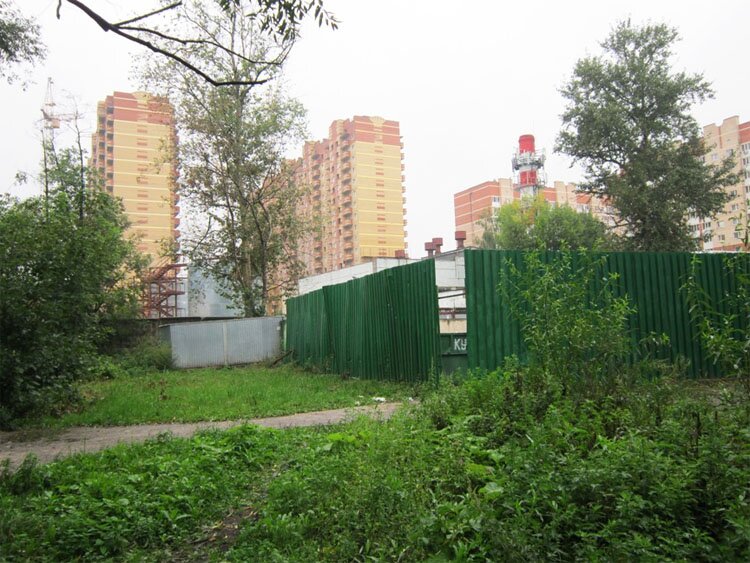 скандал с вырубкой рощи в Балашихе - застройка мнооэтажками